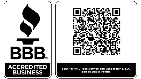 BBB Accredited Business