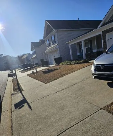 Fresh pine straw beds along a driveway